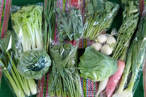 【初回限定BOX】農園自慢の情熱野菜セット7品目★Sセット パチャママ農園