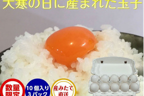 予約受付 【大寒卵】大寒たまご 卵 玉子 10個入り 3パック 卵