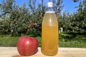 無添加！ １００％ストレート青森りんごジュース　1L×６本入