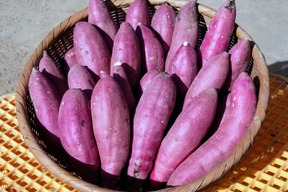 完熟❣大分県産　紅はるか　（５㌔）