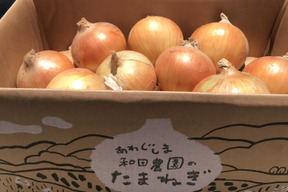 【淡路島  和田農園】淡路島玉ねぎ10kgM〜LLサイズ　完熟中生