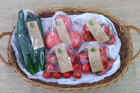 初めてご注文のお客様へ【初回限定】ぶるベジトマトのお試し！春の詰合せ♪（とまと４品種＋イボきゅうり）