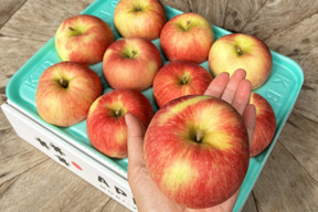 すぐに発送🚚未希ライフ🍎3kg みずみずしい希少な夏りんご🌞キズなし良品✨特別栽培認証取得・化学肥料不使用・低農薬🍃贈答用・ギフトにもおすすめ🎁今が旬✨