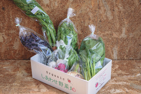 【規格外増量】オーガニック野菜「シェフＭセット」しあわせ野菜畑