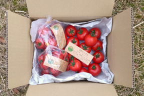 一箱で二度美味しい♪ぶるベジこだわり🍅【華おとめ】+【季節のとまとMix】１㌔箱