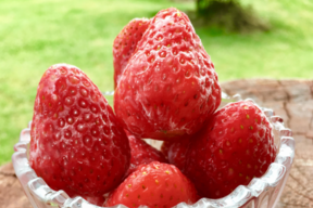 【静岡県産】濃く甘 冷凍いちご〈紅ほっぺ〉1kg