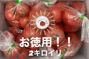 [さらに徳用]むぎゅっとがっしり！！濃旨フルーツトマト（超個性派・10キロ)