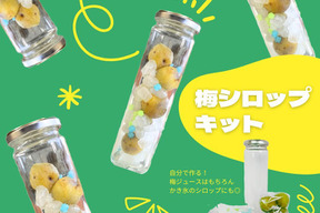 【梅シロップキット3セット】梅ジュースや梅シロップが簡単に作れる！見た目もかわいくプレゼントにも◎　岐阜県郡上市産100％