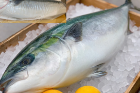 青空レストラン に出た フルーツ魚 
平戸なつ香ブリ（半身・真空パック・あら無し）約1.5kg　
 【冬ギフト】のし対応可能