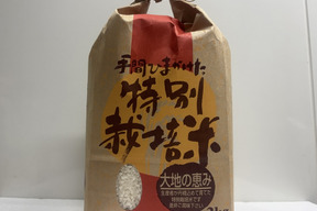 農薬は使用せず、淀川のおい水と長年かけて作った豊かな土壌から育った味のあるお米！『高槻市三島江産　ひのひかり』2kg