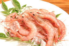 【夏ギフト】【大容量】生食OK!加熱で殻ごと楽しむトロえび中小1kg