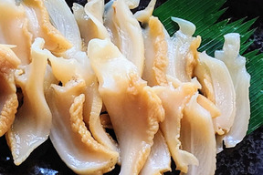 【青森県産　ツブ貝】(約300g)真空冷凍パック×2パック