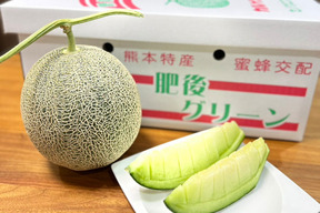 糖度16以上！甘くて爽やかな味のメロン二個セット(1.8〜2.0kg×2個)