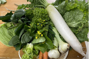 【淡路島より旬をお届け】お任せ野菜セットMサイズ