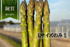 【受賞記念🎊限定価格】【やや太め1kg】那須塩原産アスパラ｜じゅわっと感じる奥深い甘み！｜Lサイズのみ｜限定価格は5月末まで！