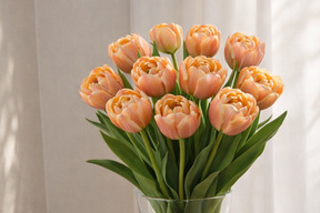 ラ・ベルエポック　　チューリップ10本　アンティークカラー　希少品種　　※北海道・沖縄県配送不可※