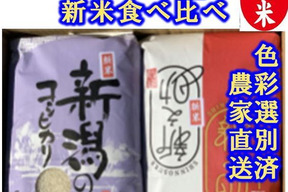 【福袋】　限定個数特別価格　新潟米豪華な食べ比べセット　新潟県産　従来種コシヒカリ　店頭で入手するのは難しい希少米　と　トップブランド　新之助（新潟県認証銘柄）　各白米5kgセット（10キロ）