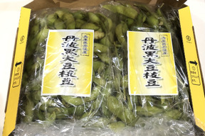 【早予約がお得】【丹波黒大豆枝豆】兵庫県丹波産お味見800ｇ 収穫後順次発送◎鮮度保持袋使用  令和8年度 丹波黒枝豆  800ｇ(500ｇ・300ｇ各1袋) 美味しい湯がき方レシピ付き！
