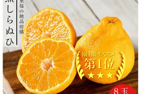 甘くて濃厚💓ハウス不知火（デコポンと同品種）贈答品✨