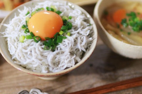 ❗極❗春しらす！釜揚げしらす🌊漁師が選りすぐった最高の一品👍やめられない止まらない😍
250ｇ×2パック(500ｇ)