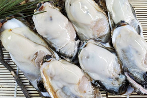 30％OFF中　500ｇ 生食用 むき身 剥き身 牡蠣 宮城県産 500ｇ×１本＝0.5ｋｇ カキ 加熱用にも使用可能  生牡蠣　松島牡蠣屋 牡蛎 カキ かき 生牡蠣