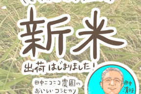 油かす施肥 好食味のコシヒカリ ニコニコ米 玄米10 滋賀県産の米 穀類 食べチョク 産地直送 産直 お取り寄せ通販 農家 漁師から旬の食材を直送