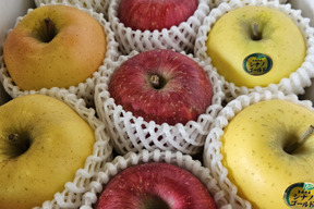 食べ比べ！！青森県産3品種詰合せりんご約3㎏（キャップ8～10個）