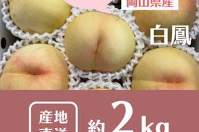 【朝どれ】【ご自宅用】訳あり・白鳳★とろける果肉とたっぷり果汁の白桃（2㎏箱）