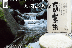 【令和7年度米】新米 米 白米【１０キロ】熊本県あしきた産ヒノヒカリ大関山系米 新鮮 発送日～３日以内に精米