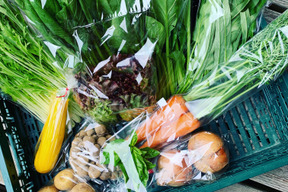 きのこ入り！旬のお野菜セット　7袋入り（5-7品目）【初回限定ＢＯＸ】熨斗対応可＜農薬、化学肥料不使用＞【朝どれ】【父の日ギフト】