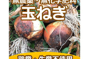 除草剤 農薬 化学肥料不使用 野菜嫌いな子供をキラキラ笑顔にさせる 生でかじれる安心玉ねぎ 10kg アートテン農作物 健康サポート専門店 農園 大阪府産の玉ねぎ 食べチョク 産地直送 産直 お取り寄せ通販 農家 漁師から旬の食材を直送