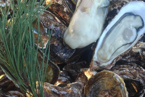 【期間限定10％OFF中】無選別ＭＩＸ １.５ｋｇ使い勝手が良い冷凍品★冷凍便　宮城県産 殻付き牡蠣 殻付き 殻付 カキ 加熱調理用  松島牡蠣屋 牡蛎 kaki かき 貝 貝類 松島牡蠣屋 冷凍牡蠣