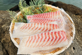 【父の日ギフト】あまっ💕うまっ💓お刺身6-8人前🐟九州認知度No1👑「お刺身用サク600g」旨味濃厚みやび鯛✨