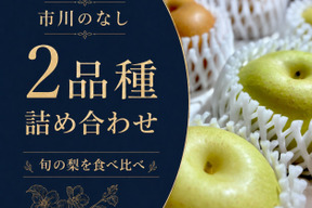 旬の梨アソート🌈　千葉県産【２品種詰め合わせ】3㎏『5玉～8玉入』市川のなし・フルーツキャップ個装