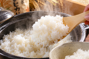 10月初旬収穫！【令和8年】新米コシヒカリ　群馬県東吾妻町産　5kg　農家直送、新鮮な米の旨味と甘味！