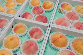 あら川の桃 品種おまかせ発送 小箱(5～7玉)【秀品】【夏ギフト】