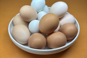 【大寒卵】スペシャル5種食べ比べ20個セット！富士山の麓でのびのび育ったたまご【食べチョクアワード入賞】発送当日採卵だから新鮮！