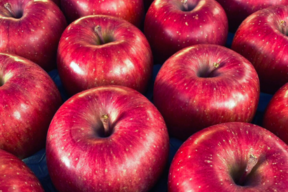 【厳選食べ比べ】青森県サンふじ＆ぐんま名月！贈答用3kg《リピート多数》