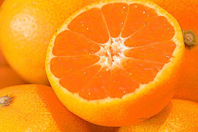 【福袋】【年内お届け可能】有田みかん10kg (ミックスサイズ 2S～3L) 家庭用(訳あり品) やまきずくん 和歌山 311-10