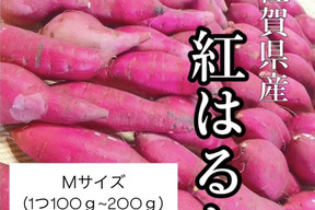 長期熟成　べにはるか　10kg