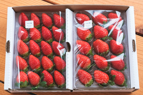 旬のいちご食べ比べ 4P　お得なご家庭用！　230g×4p