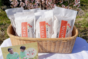 【令和7年新米】【笑う玄米生活・にこにこ玄米・10パック】【冬ギフト】米どころ山形県さがえより大粒！雪若丸玄米パック(300g・2合)　10個入りをお届けします。玄米食を日常ににこにこしたいかた