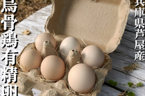 【大寒卵】【品質検査済み】兵庫県芦屋産 放飼い烏骨鶏の有精卵『ラン・デリッチ』　６個入 ■クール便配送■【冬ギフト】