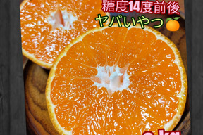 有田みかん🍊木成り甘熟 3kg(箱込)