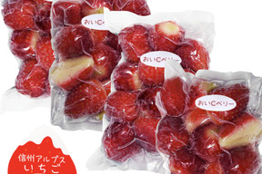南信州で育った【朝どれ】完熟おいCベリー100％　真空パック小分け冷凍 235～255g 4袋セット おいCベリーはビタミンCが一般的なイチゴの約1.6倍 天然の栄養成分がたっぷり