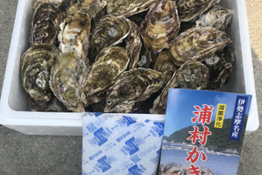 【BBQに牡蠣！】【生牡蠣】【生食用】三重県産 殻付き 浦村かき
S～Mサイズ 30個入り 2.5Kg (3～6人前）
牡蠣 貝類 海鮮 バーベキュー【母の日ギフト】【生で食べれる美味い牡蠣】