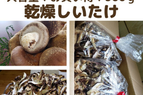 【業務用大特価】干しいたけのスライス超大容量お買得300g(150g×2)・乾燥椎茸・農薬不使用乾しいたけ・無添加　魚沼産菌床