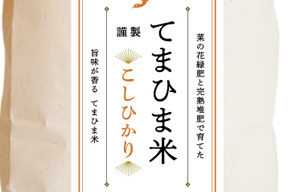 令和8年コシヒカリ旨みが香る『てまひま米』精米10kg（5㎏×2袋）