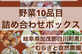 農薬化学肥料一切不使用の野菜10品目詰め合わせセット　岐阜県加茂郡白川町黒川むらざと自然農園