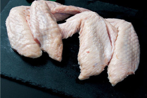 冷凍 鹿野地鶏ささみ500g 2p 鳥取県産 食べチョク 農家 漁師の産直ネット通販 旬の食材を生産者直送